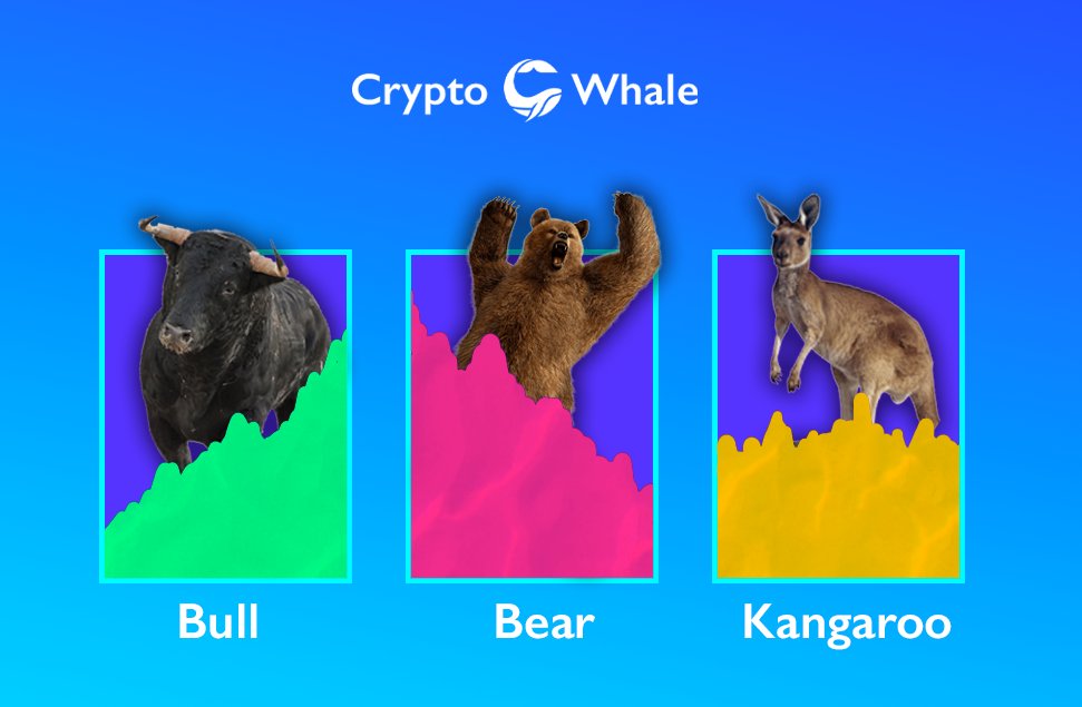 "Introducing the Kangaroo Pattern!" - Crypto Whale via Twitter @CryptoWhale