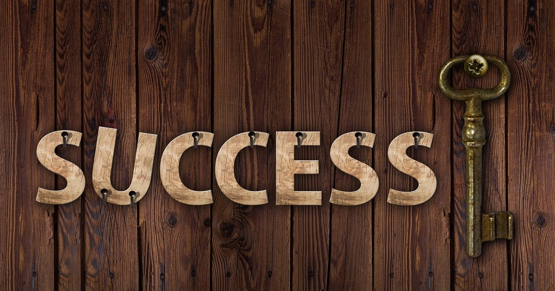 Cara menjadi orang sukses (Foto: pixabay.com)
