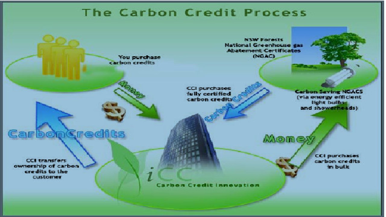 Skema Kredit Karbon (Sumber gambar: Mishra et.al 2014)