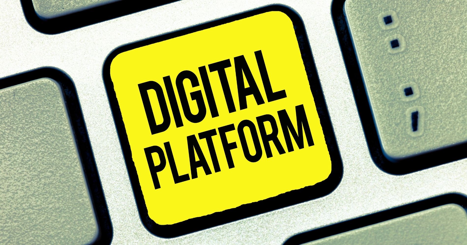 Digital Platform - Canva