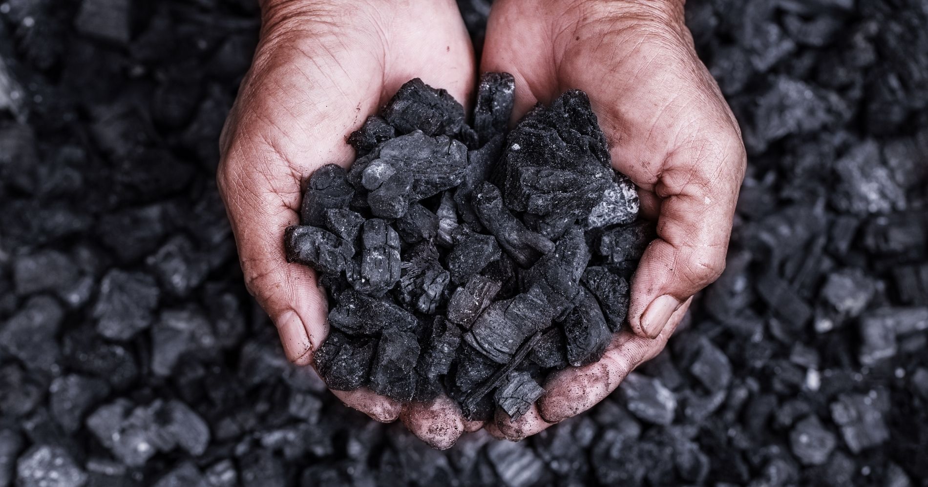 Coal - Canva