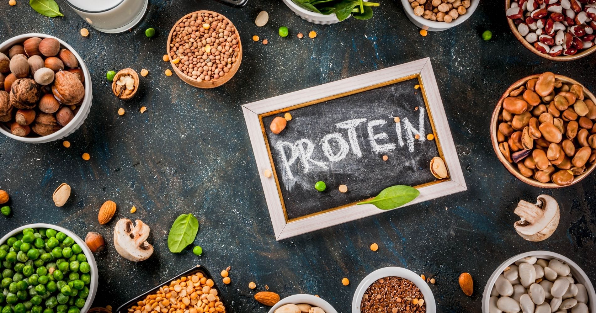 Protein - Canva