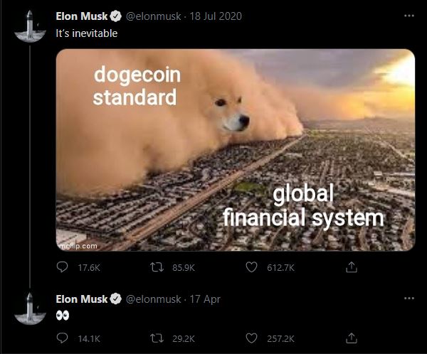 Tweet Elon Musk tentang Meme DogeCoin - Image: Twitter