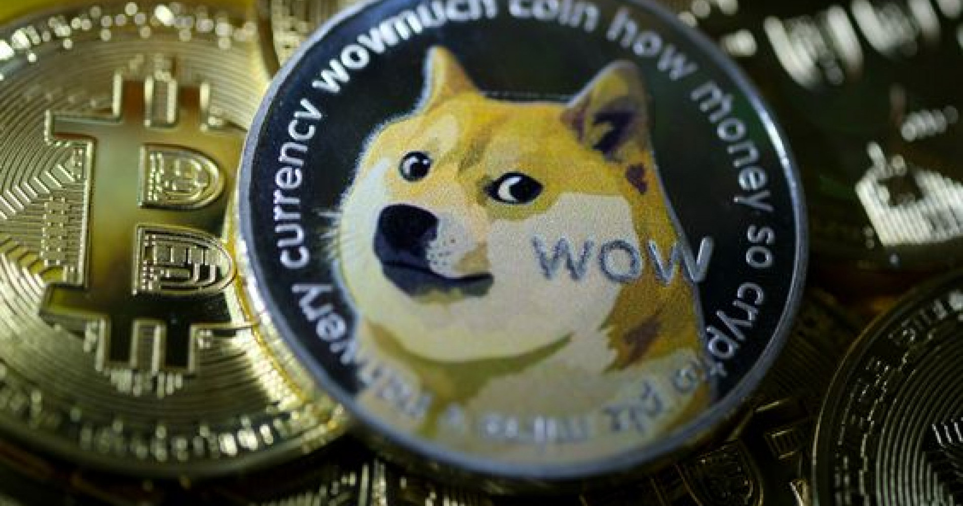 Dogecoin ( Sumber : newsweek.com )