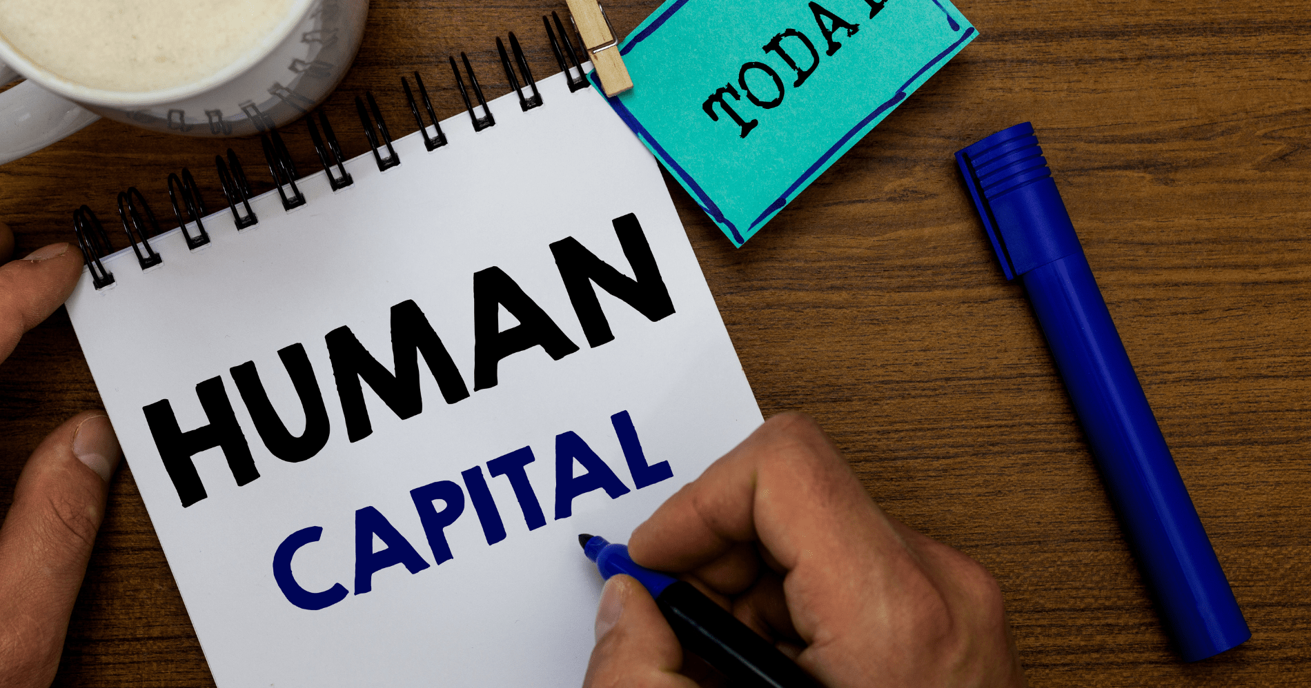 Human Capital Illustration Bisnis Muda - Canva