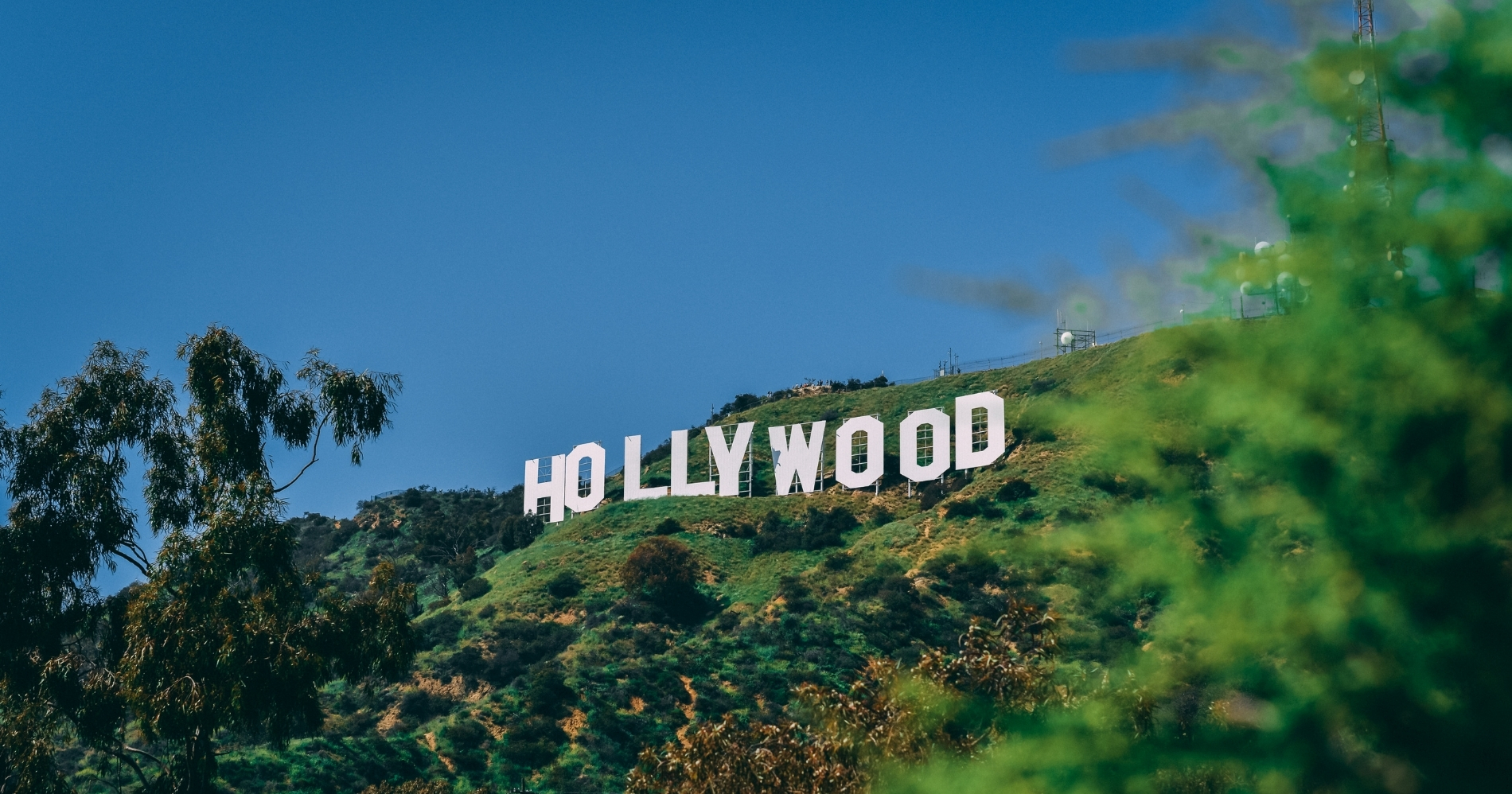 Hollywood Sign Web Bisnis Muda - Canva