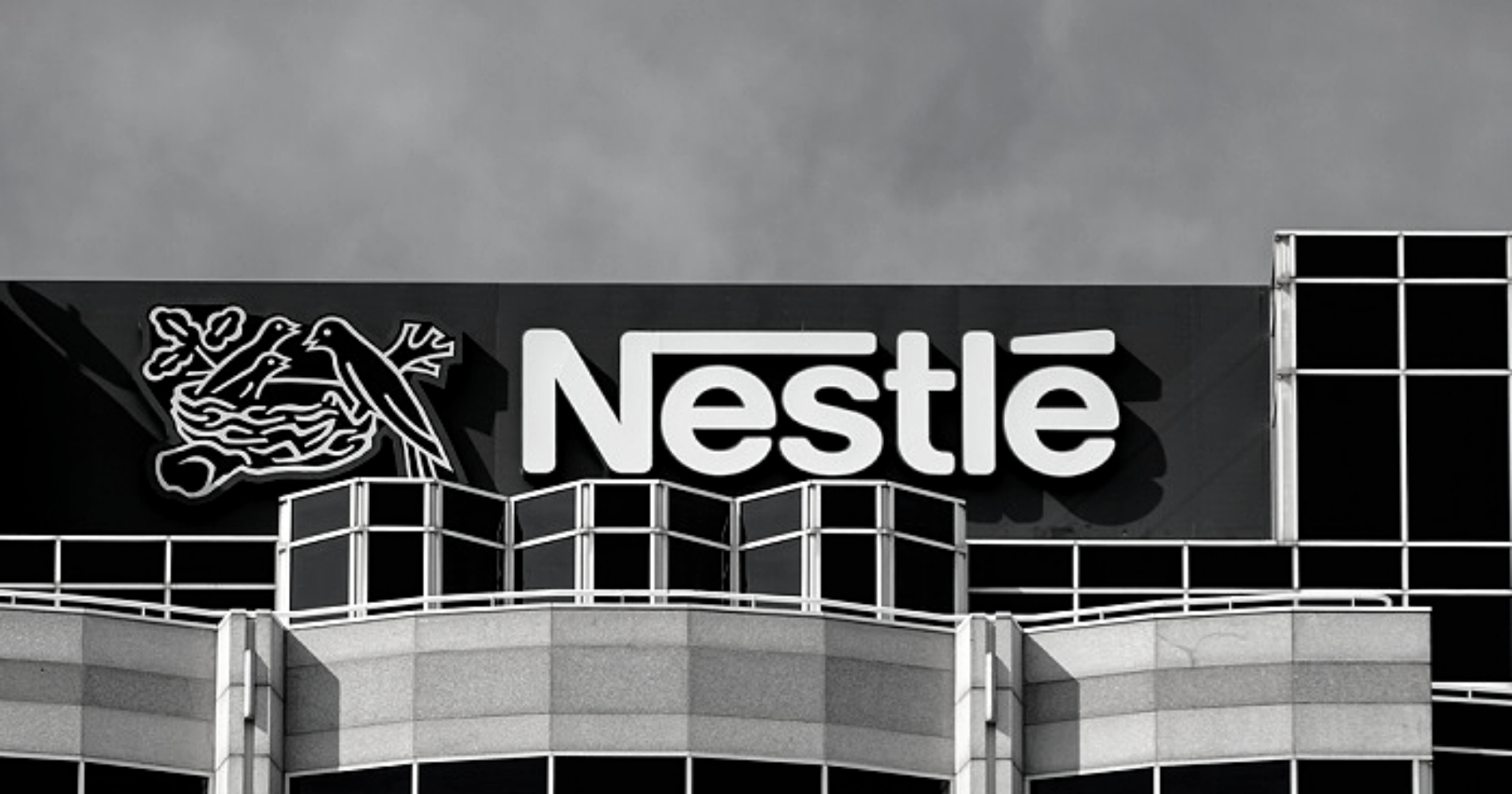 Nestlé Building Web Bisnis Muda - Google