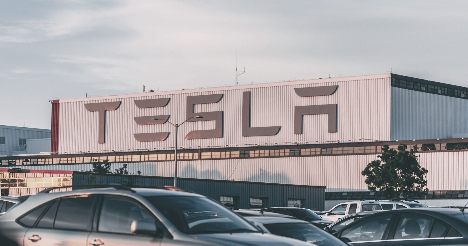 Tesla Building Web Bisnis Muda - Canva