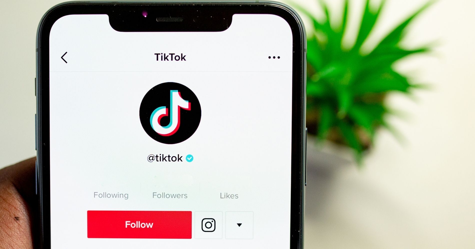 TikTok App Illustration Web Bisnis Muda - Canva