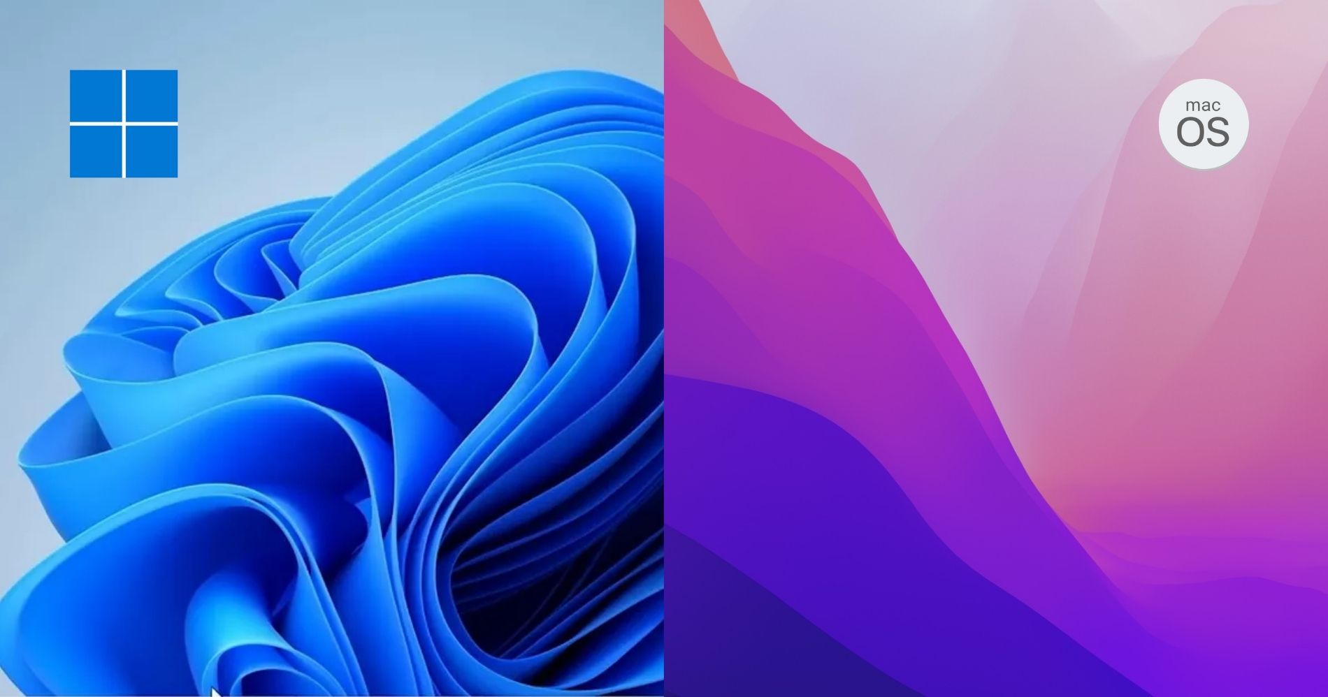 Windows 11 vs MacOS Monterey Illustration Web Bisnis Muda - Canva
