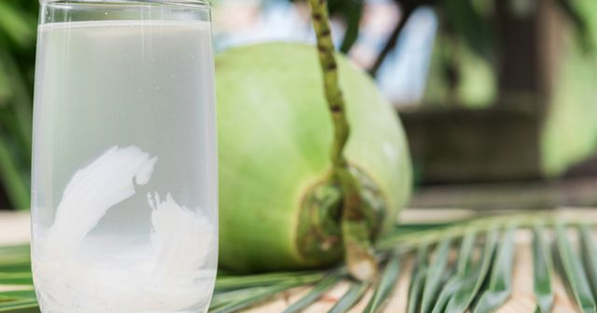 Manfaat air kelapa untuk sistem kekebalan tubuh (Sumber gambar: klikdokter.com)