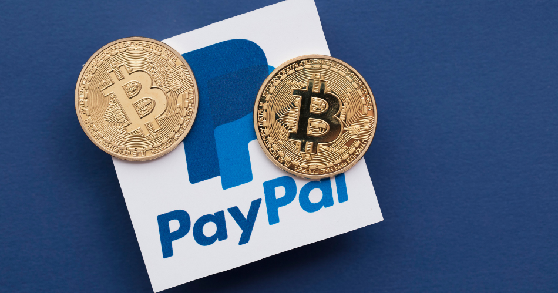 Bitcoin x PayPal Illustration Web Bisnis Muda - Canva