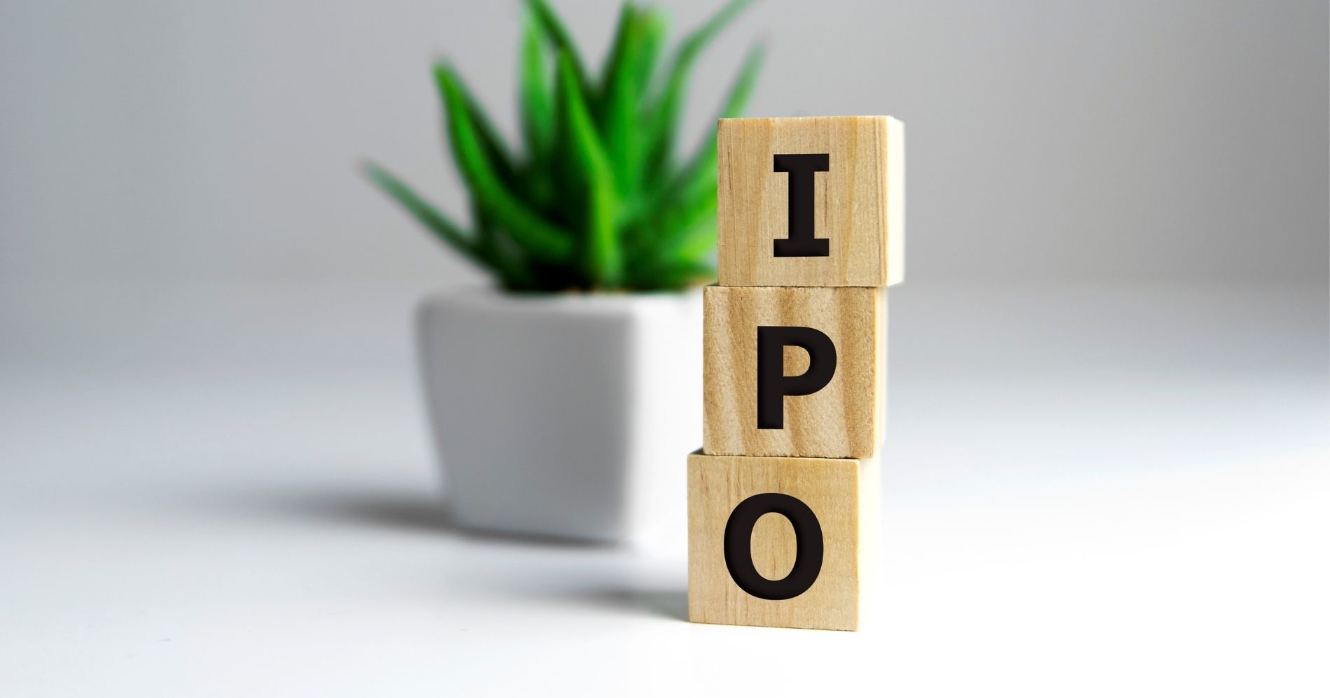 Syarat dan Proses IPO Illustration Web Bisnis Muda - Image: Canva