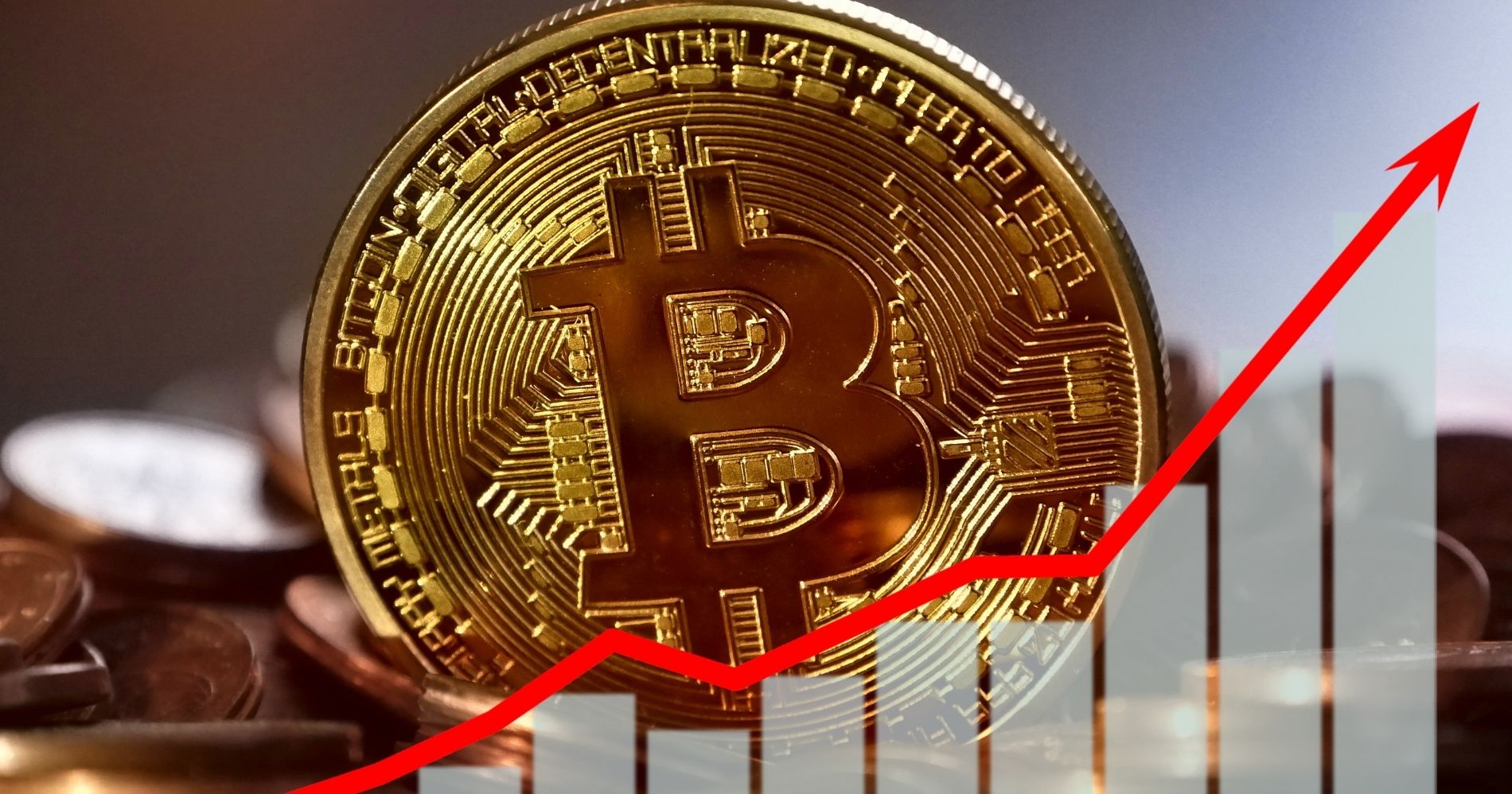 Crypryocurrency Bitcoin Yang terus cuan - Bisnis Muda -  Canva.com