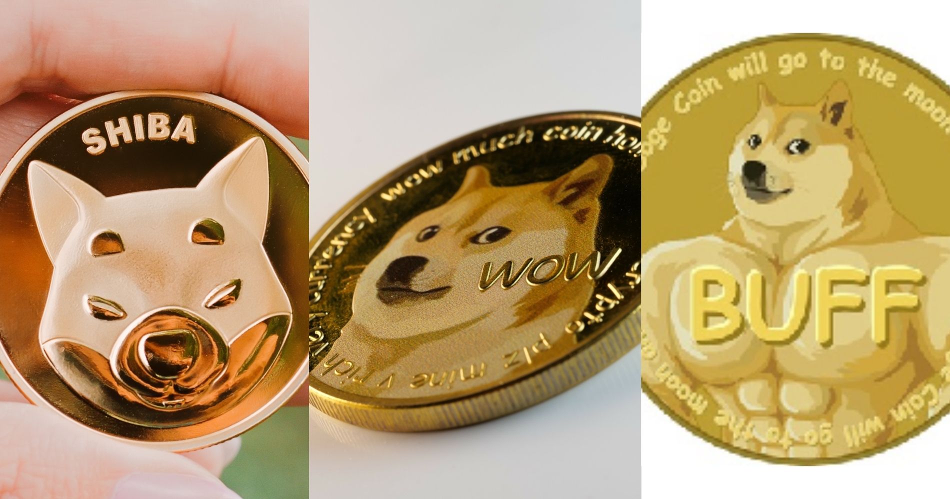 Aset Kripto yang Disebut sebagai Kloningan Dogecoin Illustration Web Bisnis Muda - Image: Canva - Coin Market Cap