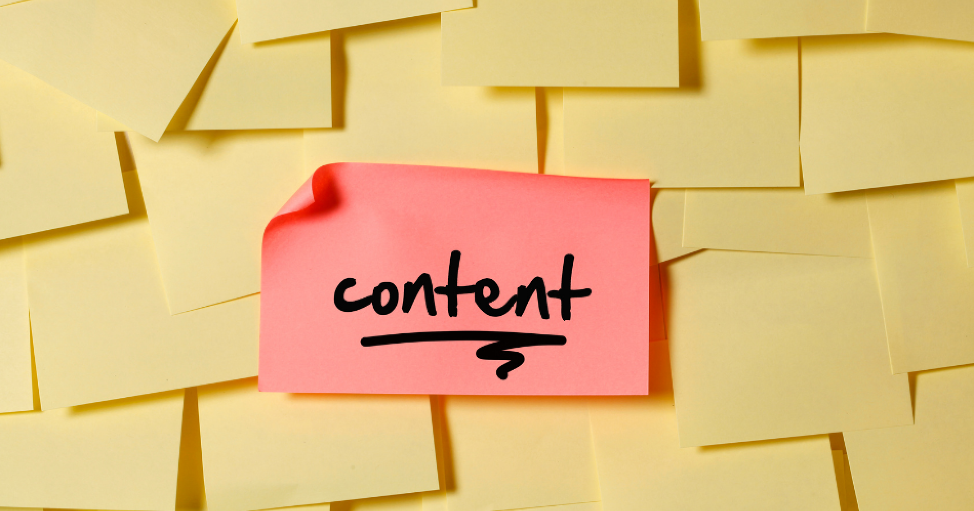 Apa Bedanya Short Content dan Long Content dalam Strategi Marketing? Illustration Web Bisnis Muda - Image: Canva