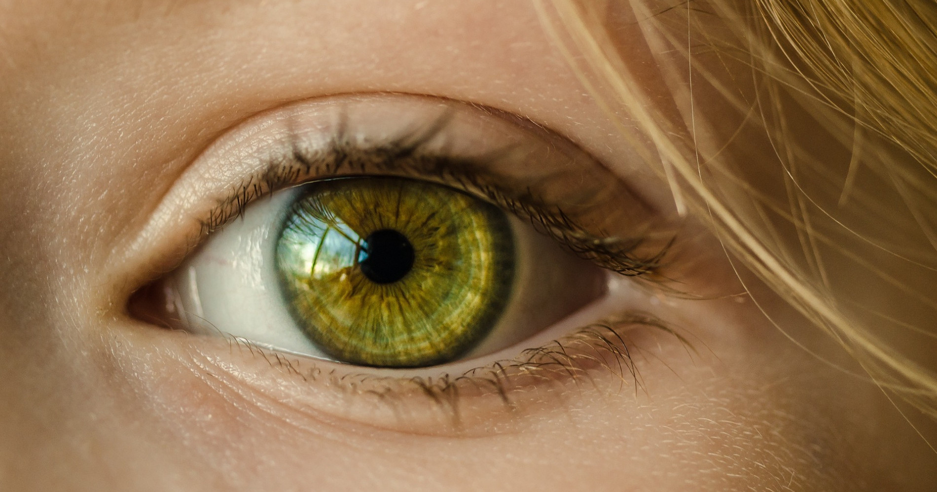 Mata merupakan salah satu organ penting kita