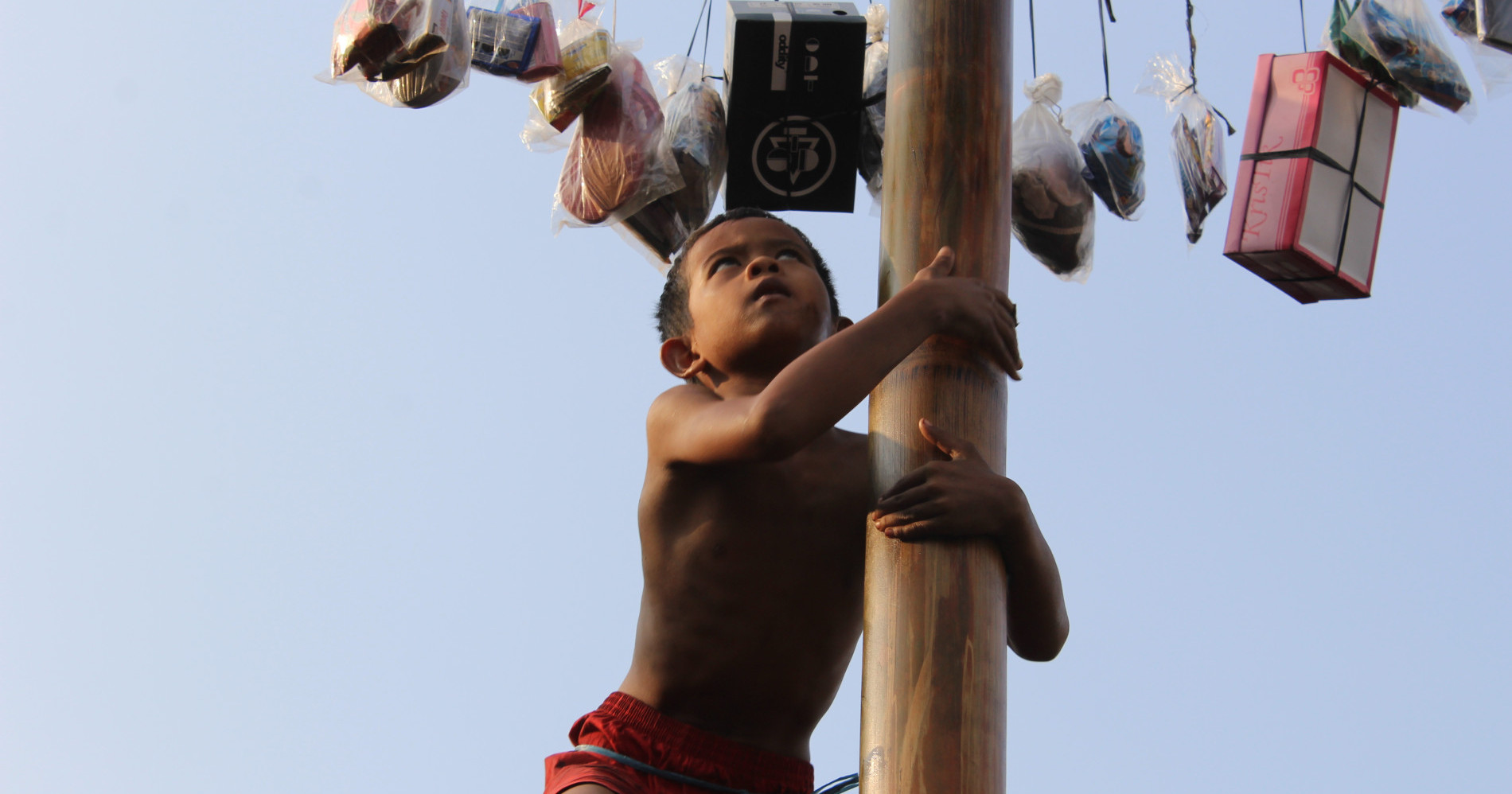 Panjat pinang, salah satu lomba di hari memperingati kemerdekaan Republik Indonesia. Sumber: wikimedia