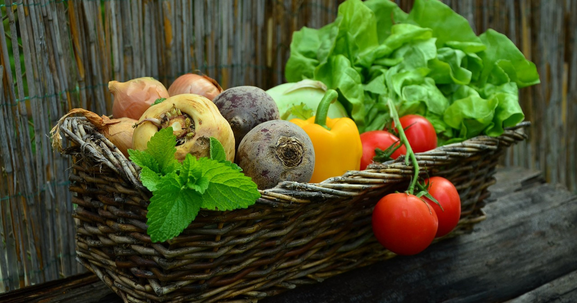 Sayuran sebagai salah satu sumber nutrisi. Sumber: pixabay