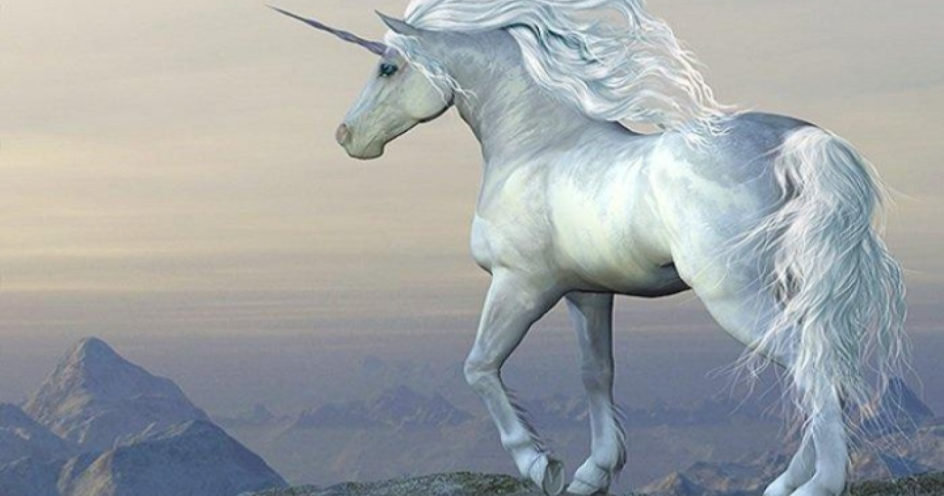 Unicorn - Mahluk Mitologis (sumber : Google)