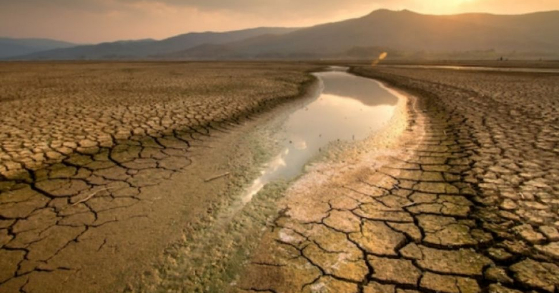 El Niño menyebabkan kekeringan yang berdampak buruk bagi kehidupan