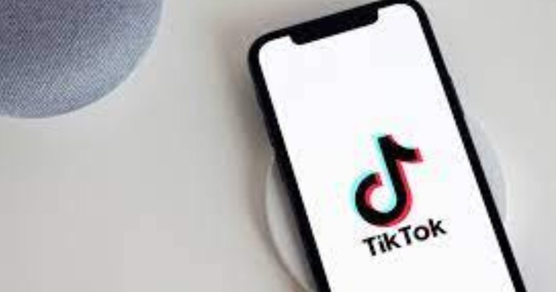 TikTok (Foto: Plann)