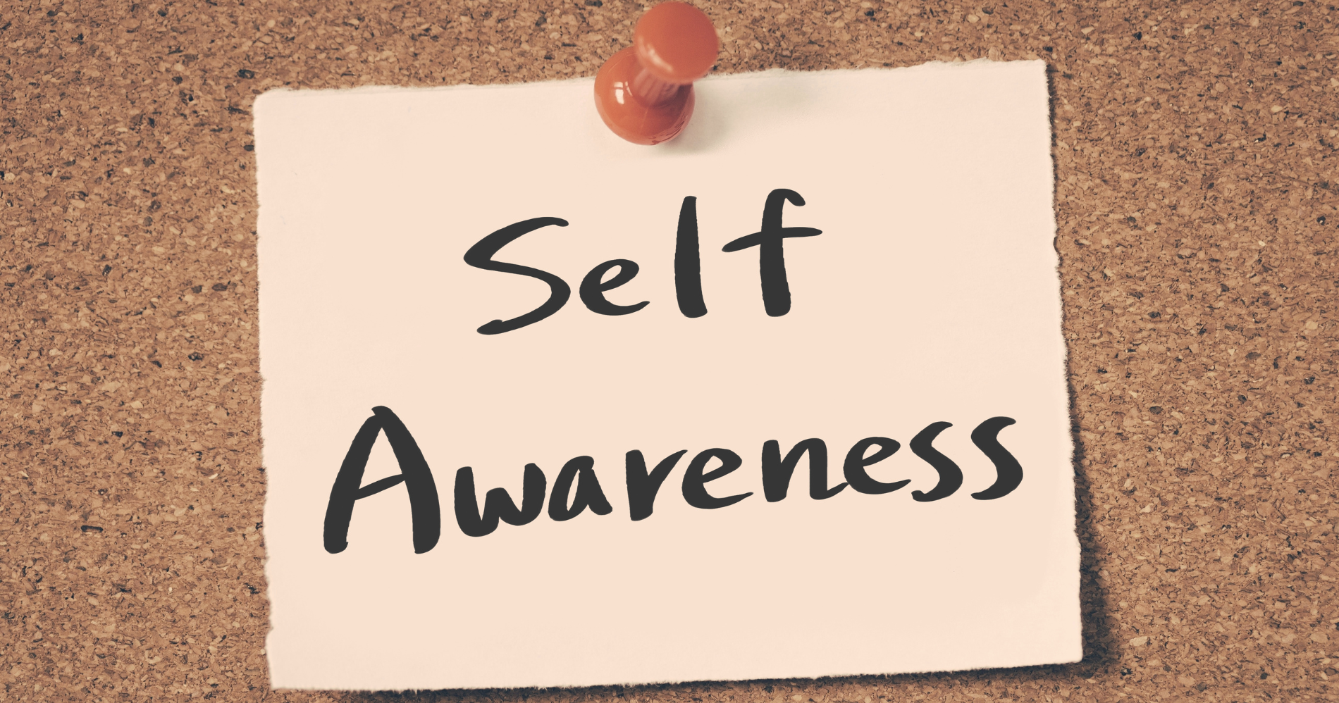 Self-Awareness/Canva 