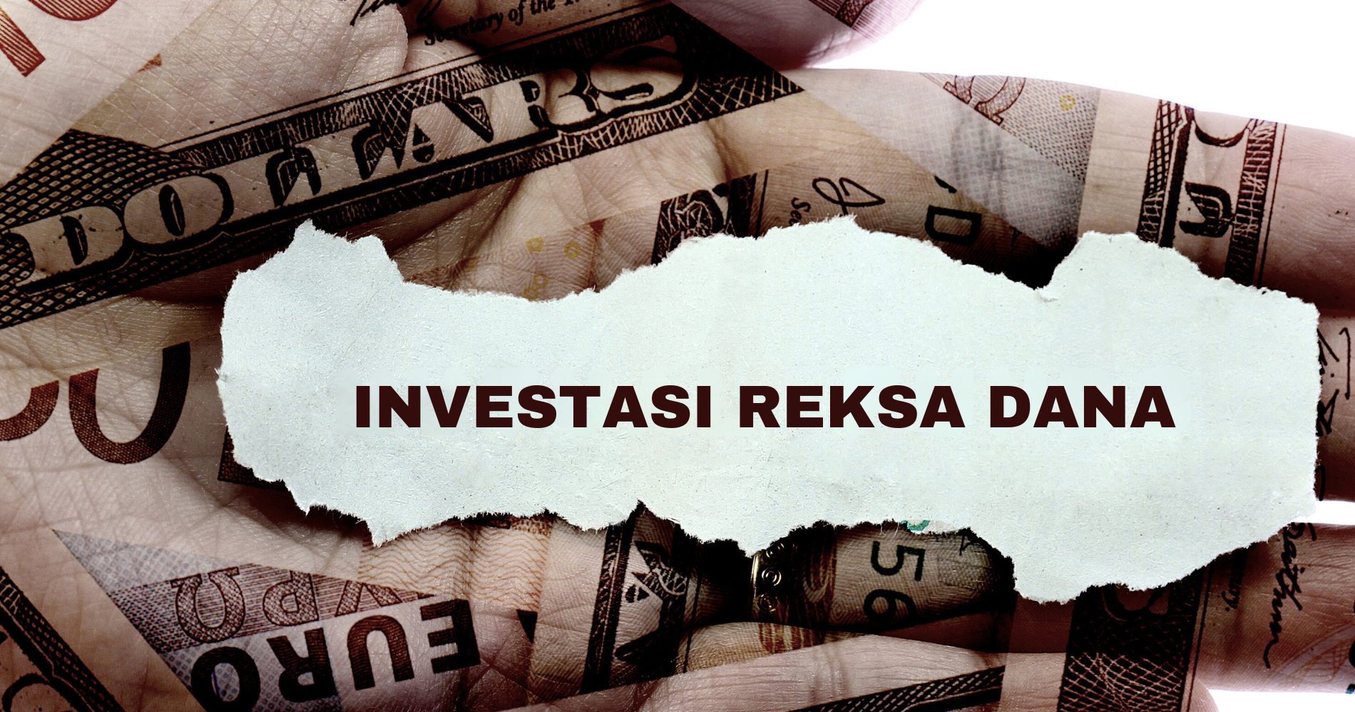 Kenali 5 Cara Investasi Reksa Dana Biar Makin Cuan! (Sumber Gambar: Canva)