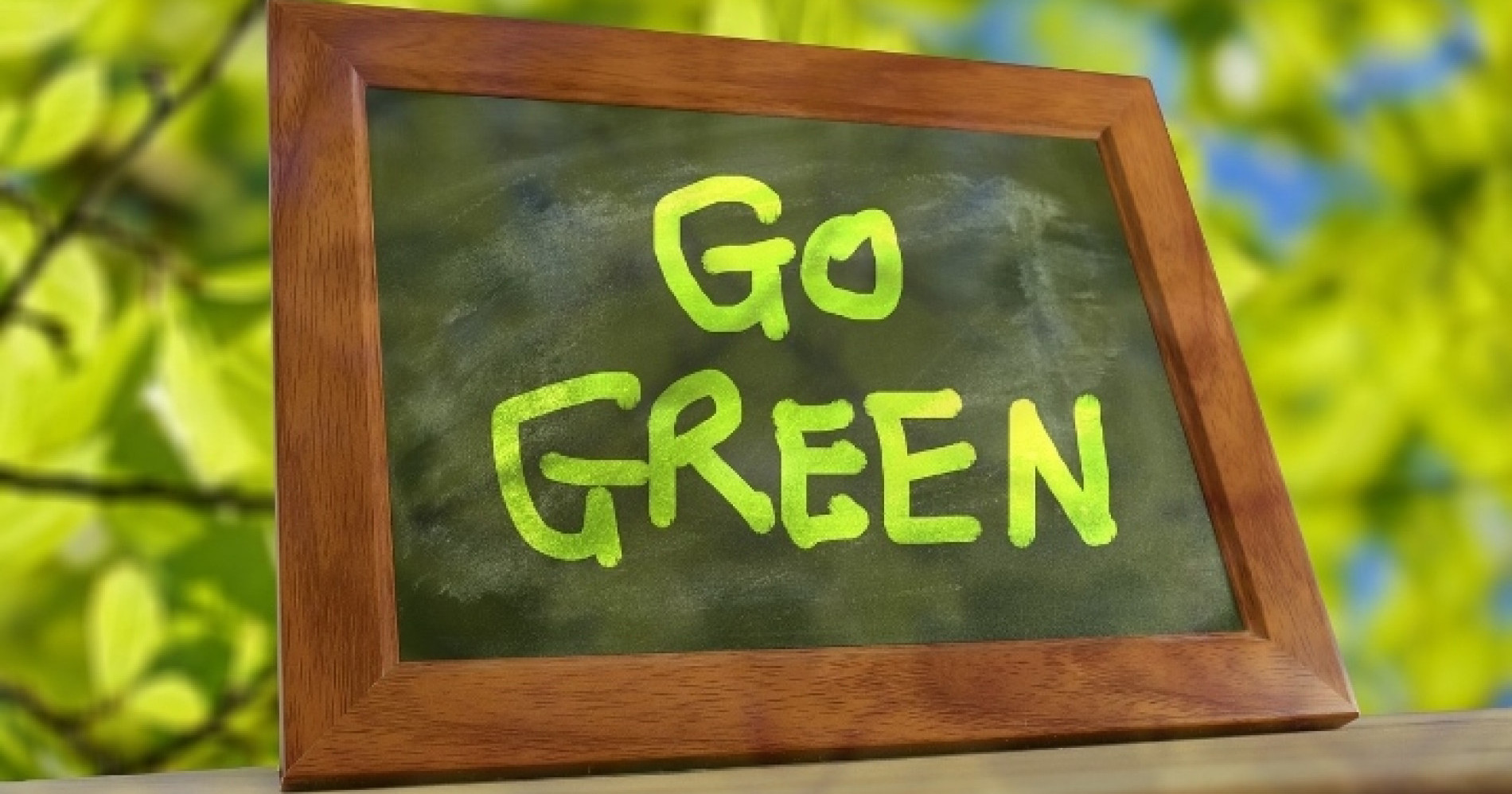 Go Green adalah program penghijauan yang mesti dipahami oleh seluruh pihak untuk mencapai keseimbangan ekosistem sumber gambar Pixabay.com