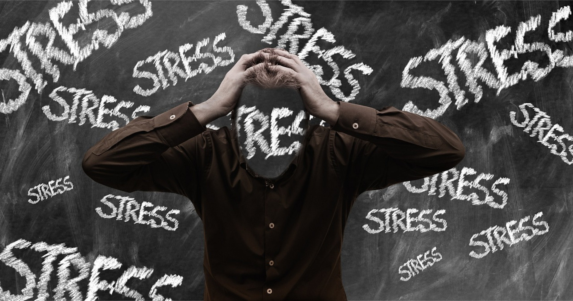 3 Alasan stress kerja sering diabaikan! (Sumber: Pixabay)