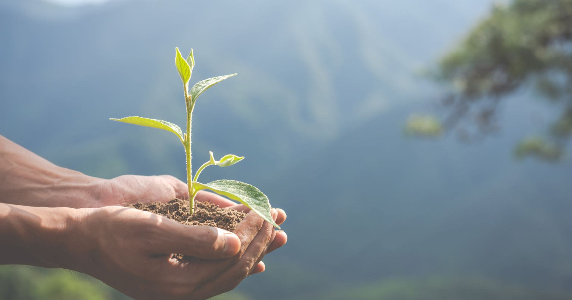 Menerapkan ESG dalam kehidupan sehari-hari (Foto freepik.com)