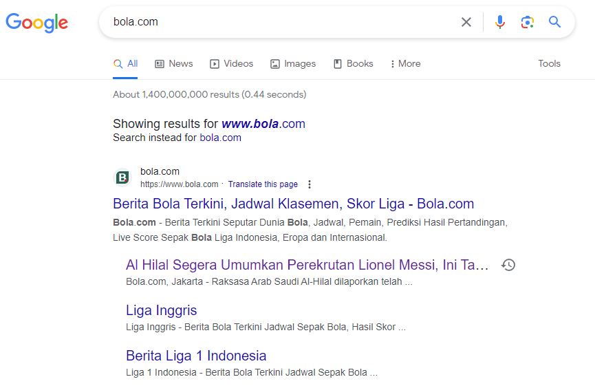 Sumber: SERP Google