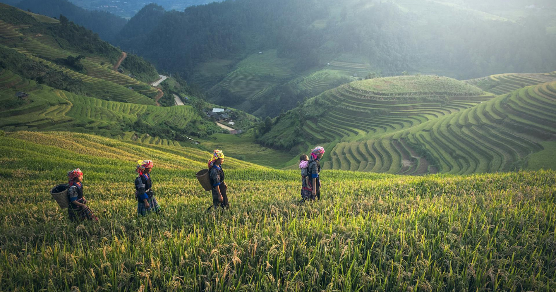 Foto ladang pertanian oleh Pixabay