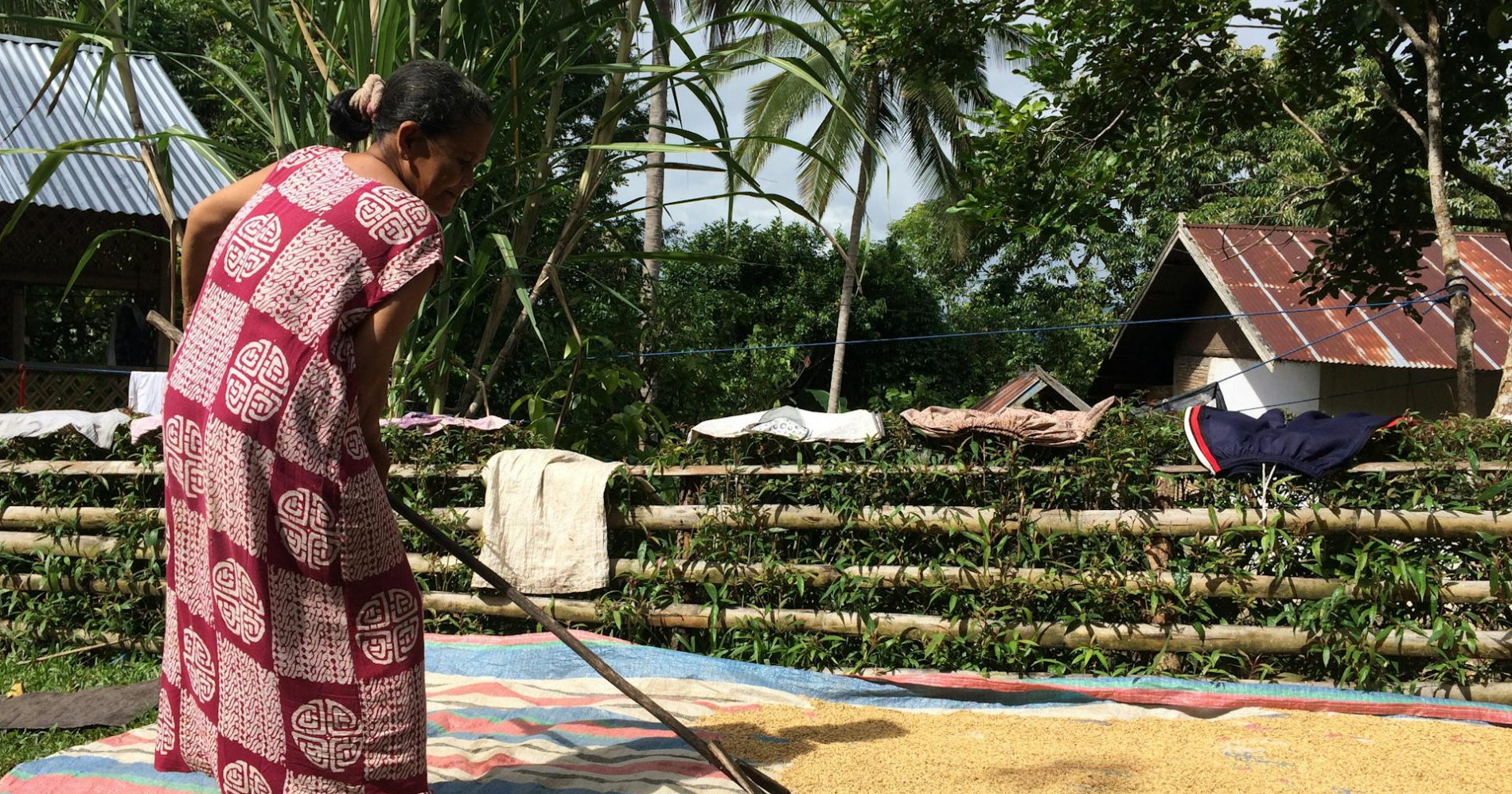 Foto petani menjemur padi oleh Smaart (sumber: Pexels) Foto petani menjemur padi oleh Smaart (sumber: Pexels)