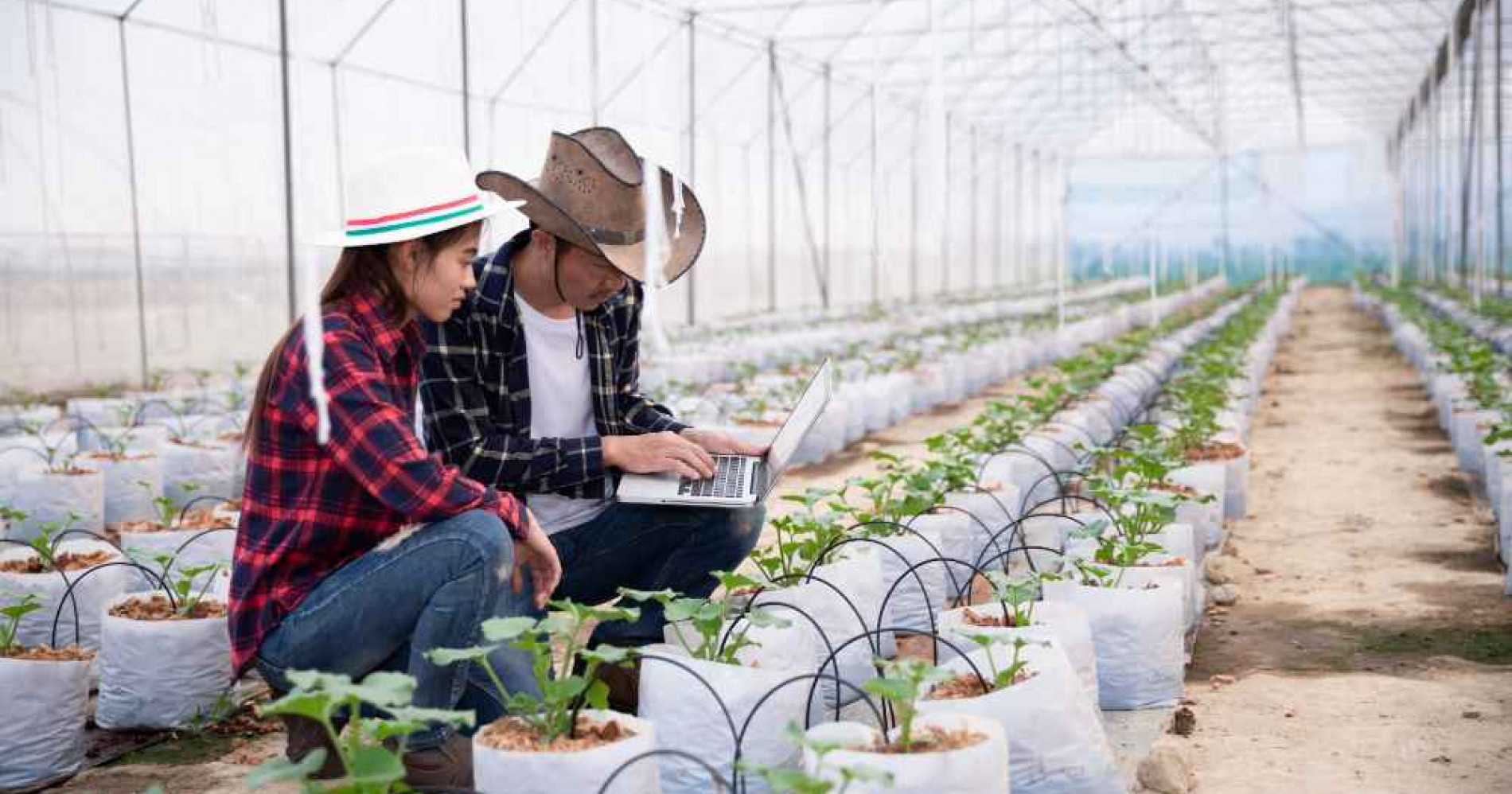 Pertanian Regeneratif, Bagaimana Peran Industri Pupuk? (Foto Freepik.com) Pertanian Regeneratif, Bagaimana Peran Industri Pupuk? (Foto Freepik.com)