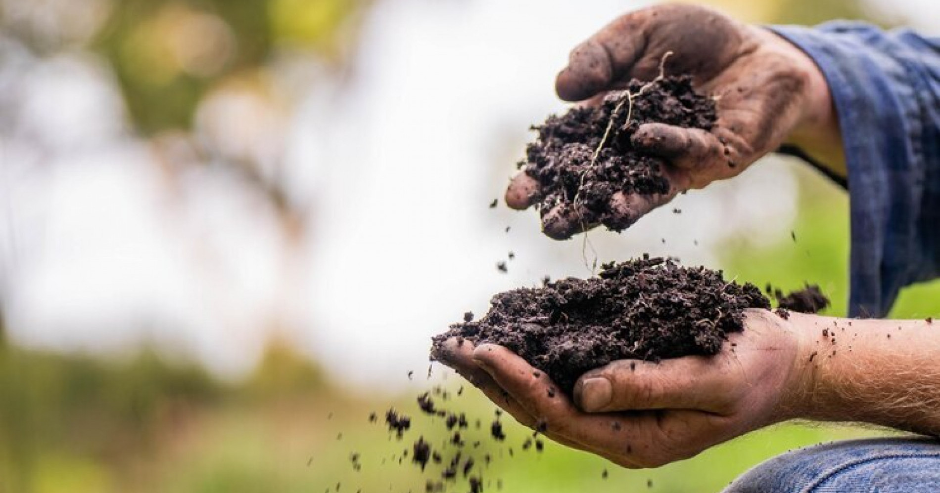 Mendukung Pertanian Regeneratif untuk Bumi yang Lebih Hijau (Sumber gambar: Freepik) Mendukung Pertanian Regeneratif untuk Bumi yang Lebih Hijau (Sumber gambar: Freepik)