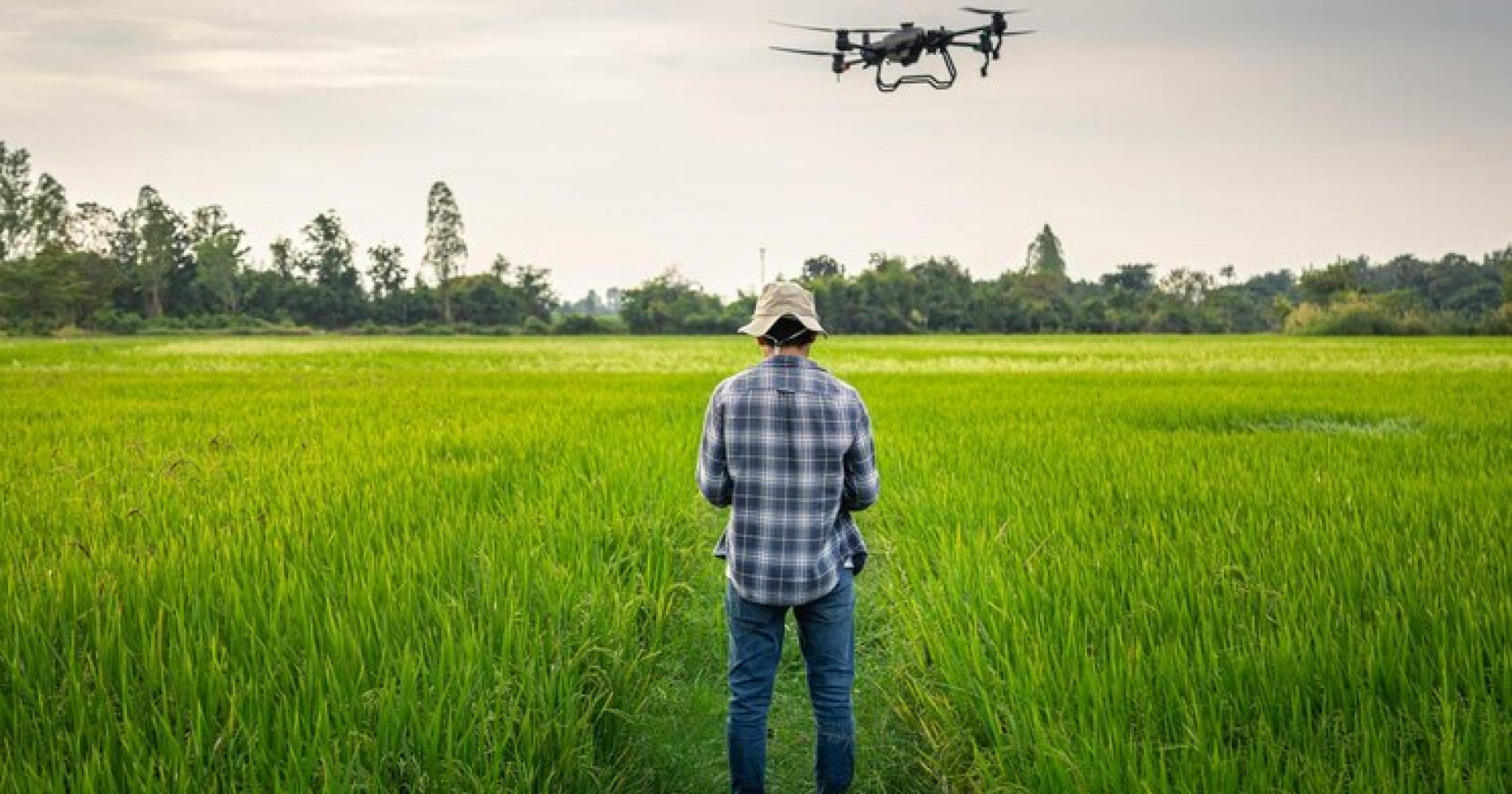 Petani Modern Menggunakan Teknologi di Lahan Pertanian (Sumber gambar: Freepik) Petani Modern Menggunakan Teknologi di Lahan Pertanian (Sumber gambar: Freepik)