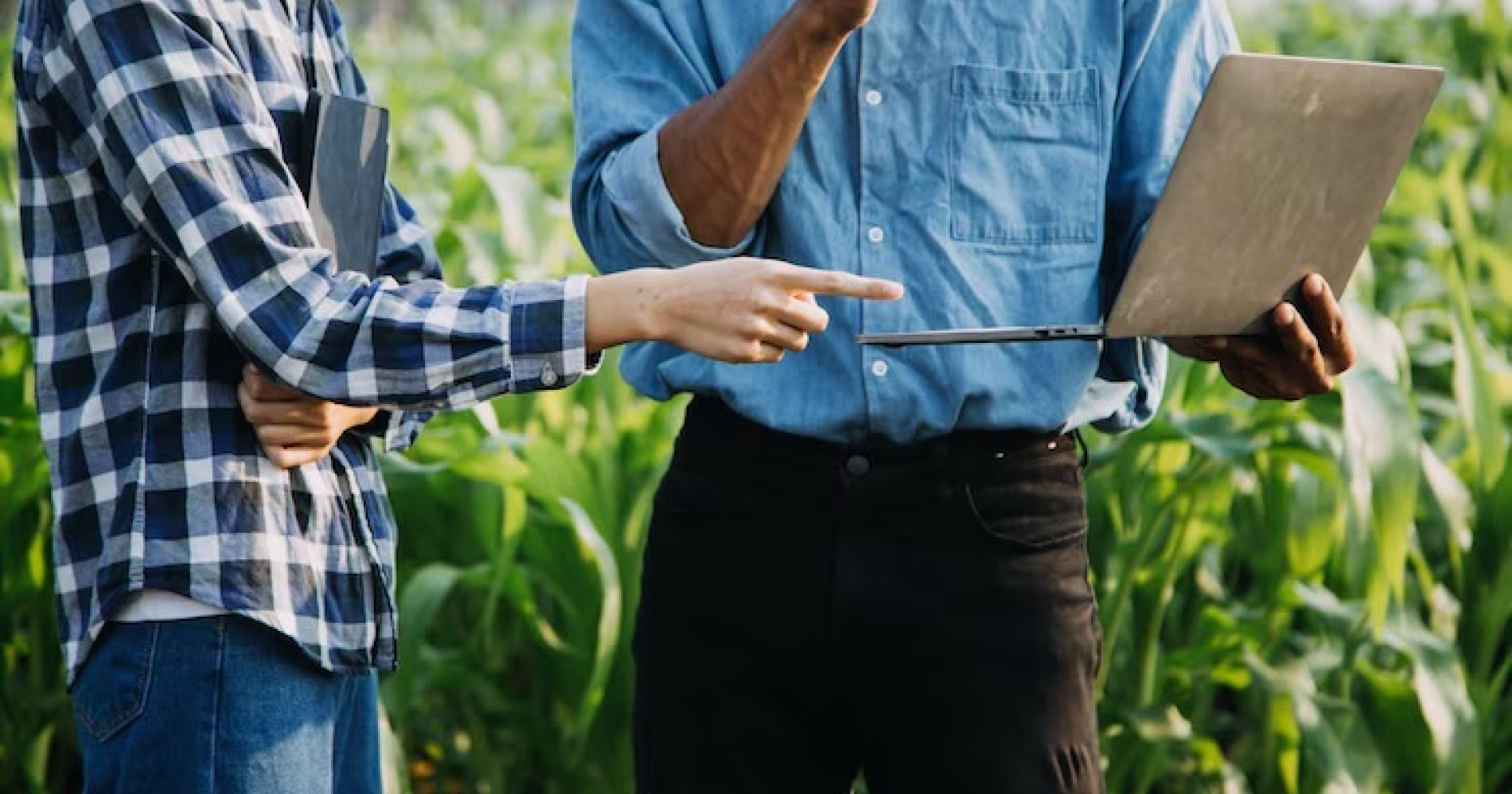 Agrosolution: Panen Melimpah, Petani Sejahtera (Sumber gambar: Freepik) Agrosolution: Panen Melimpah, Petani Sejahtera (Sumber gambar: Freepik)