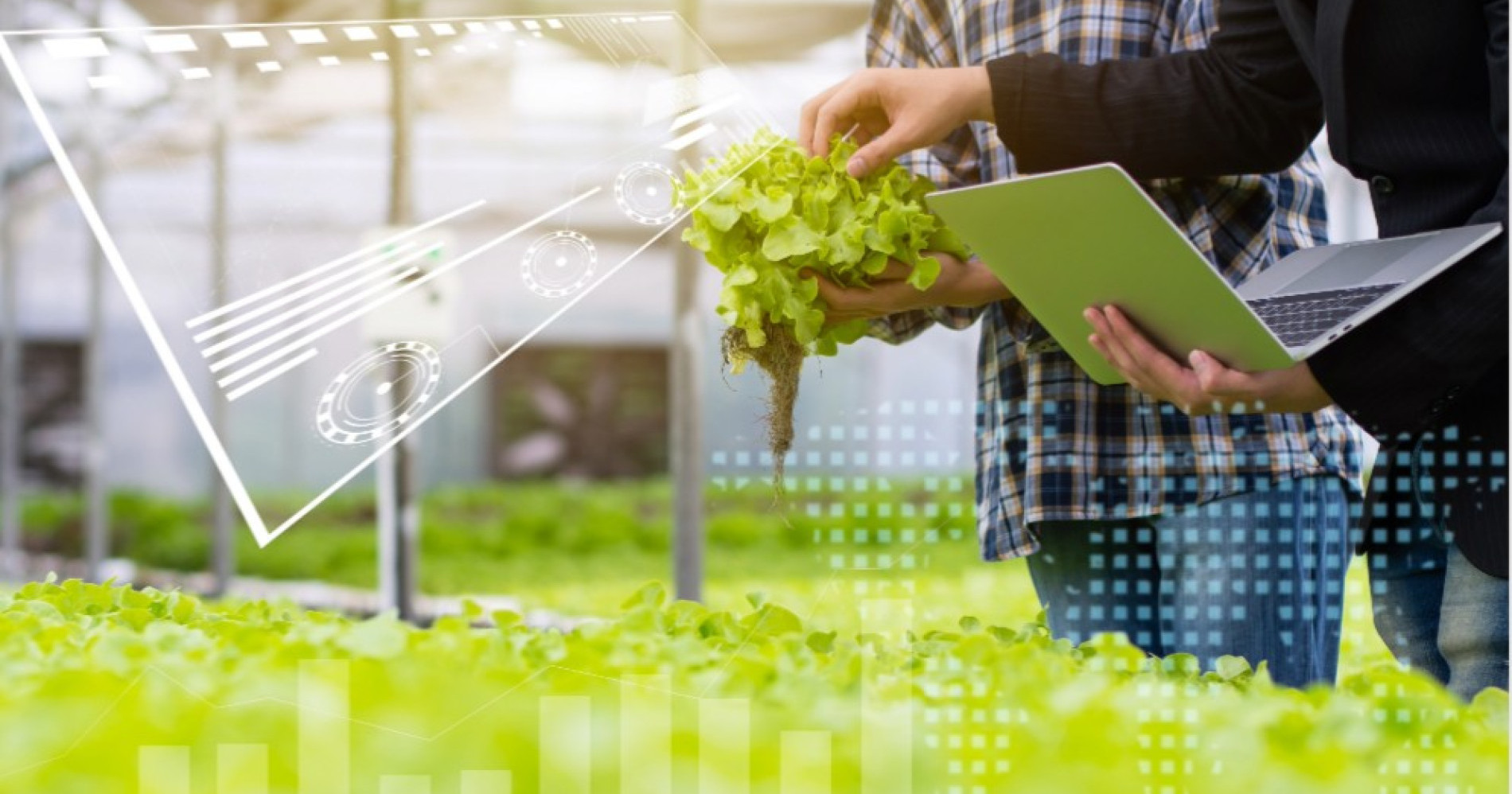 5P Agrosolution Pupuk Kaltim Solusi Tingkatkan Produktivitas Petani. Sumber Gambar: Adobe Express