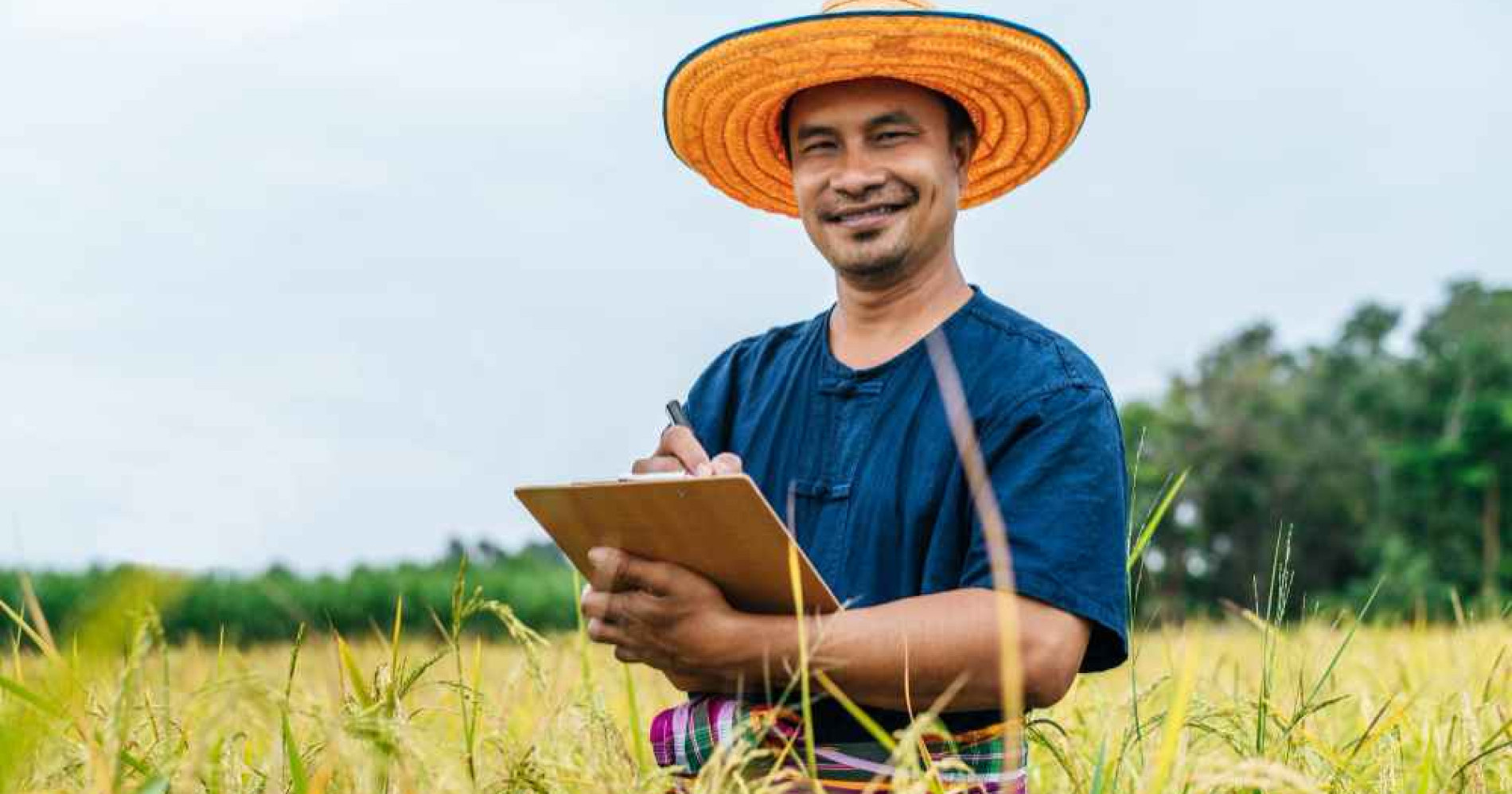Menjadi petani masa depan dengan keuntungan maksimal, bagaimana caranya? (Foto Freepik.com)