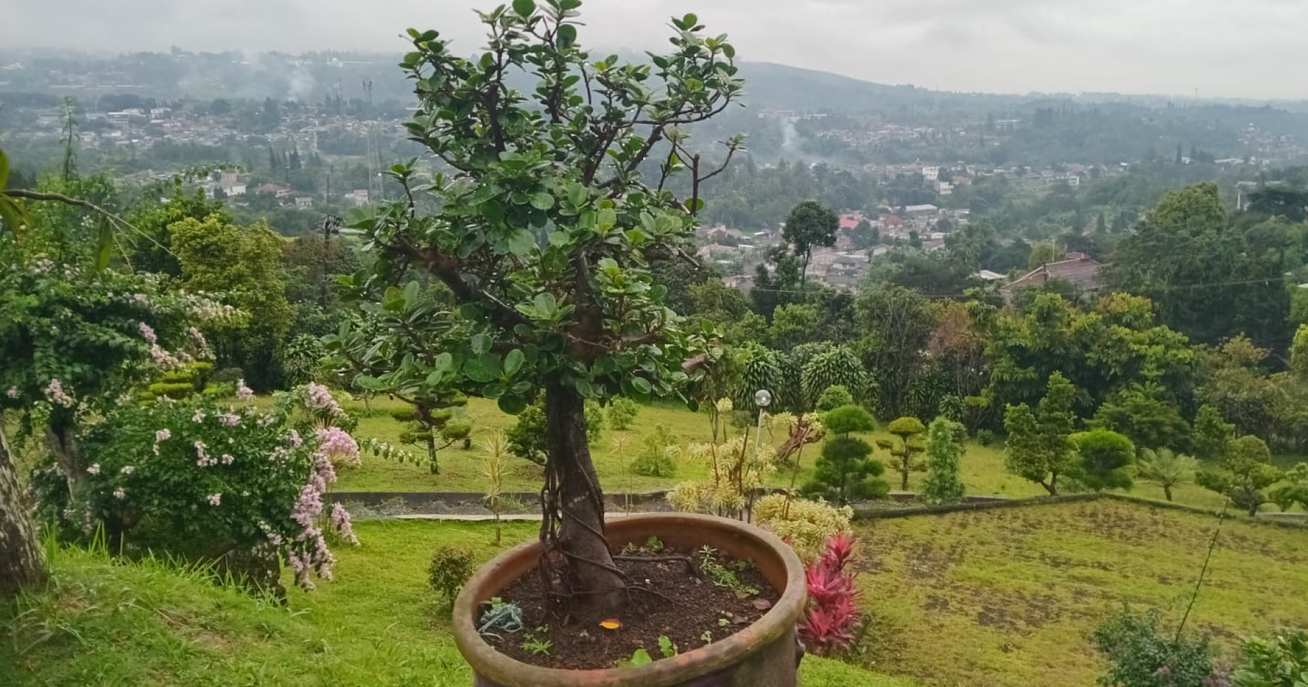 Dokumentasi Pribadi Dokumentasi Pribadi