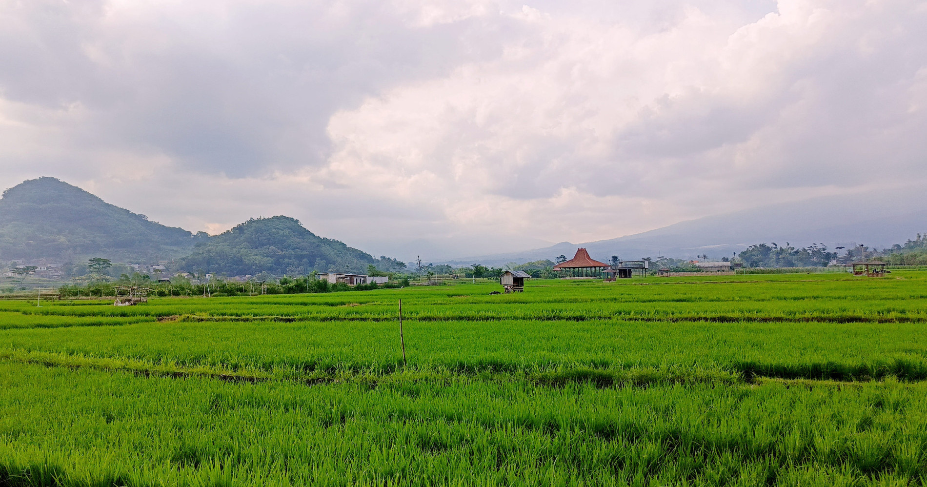 Pertanian Berkelanjutan: Menjaga lahan pertanian tetap lestari hingga anak cucu nanti (Sumber: Dokumentasi pribadi) Pertanian Berkelanjutan: Menjaga lahan pertanian tetap lestari hingga anak cucu nanti (Sumber: Dokumentasi pribadi)