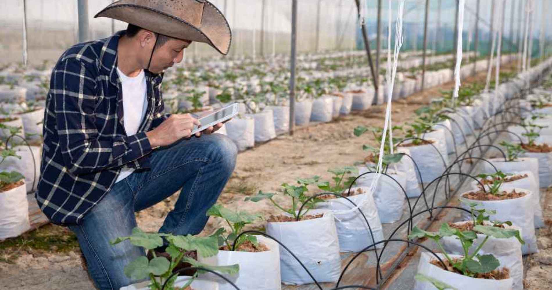 Bagaimana cara menjadi petani modern? (Foto Freepik.com) Bagaimana cara menjadi petani modern? (Foto Freepik.com)