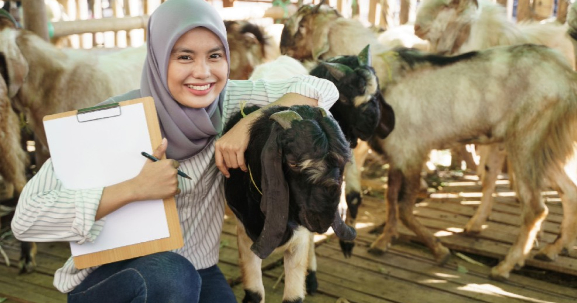 8 Strategi Ketahanan Pangan lewat Kurban, Kolaborasi dengan Pupuk Kaltim. Sumber Gambar Adobe Express