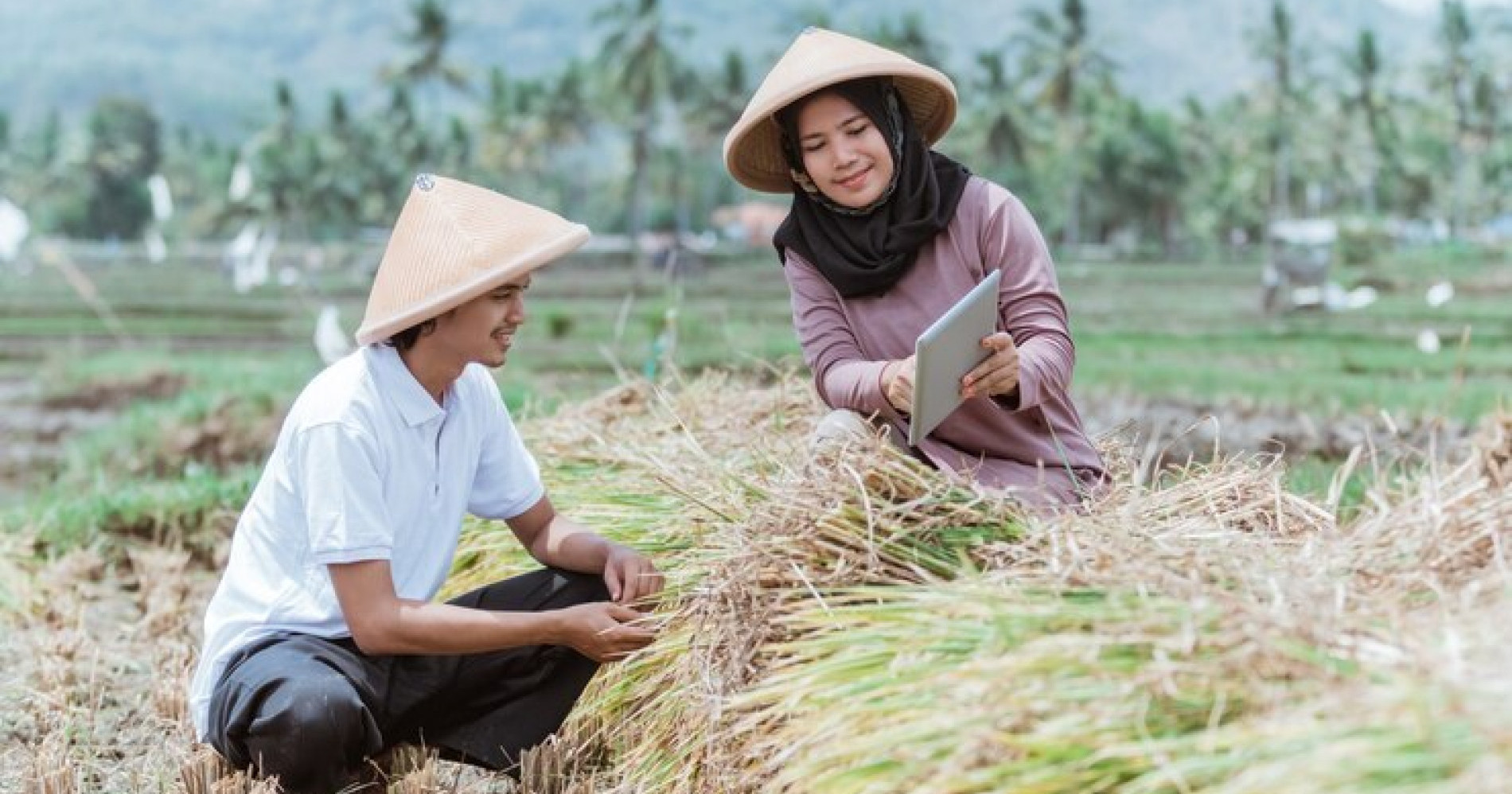 Petani sejahtera dan pangan aman lewat penerapan program IP 400 (Sumber gambar: Freepik) Petani sejahtera dan pangan aman lewat penerapan program IP 400 (Sumber gambar: Freepik)