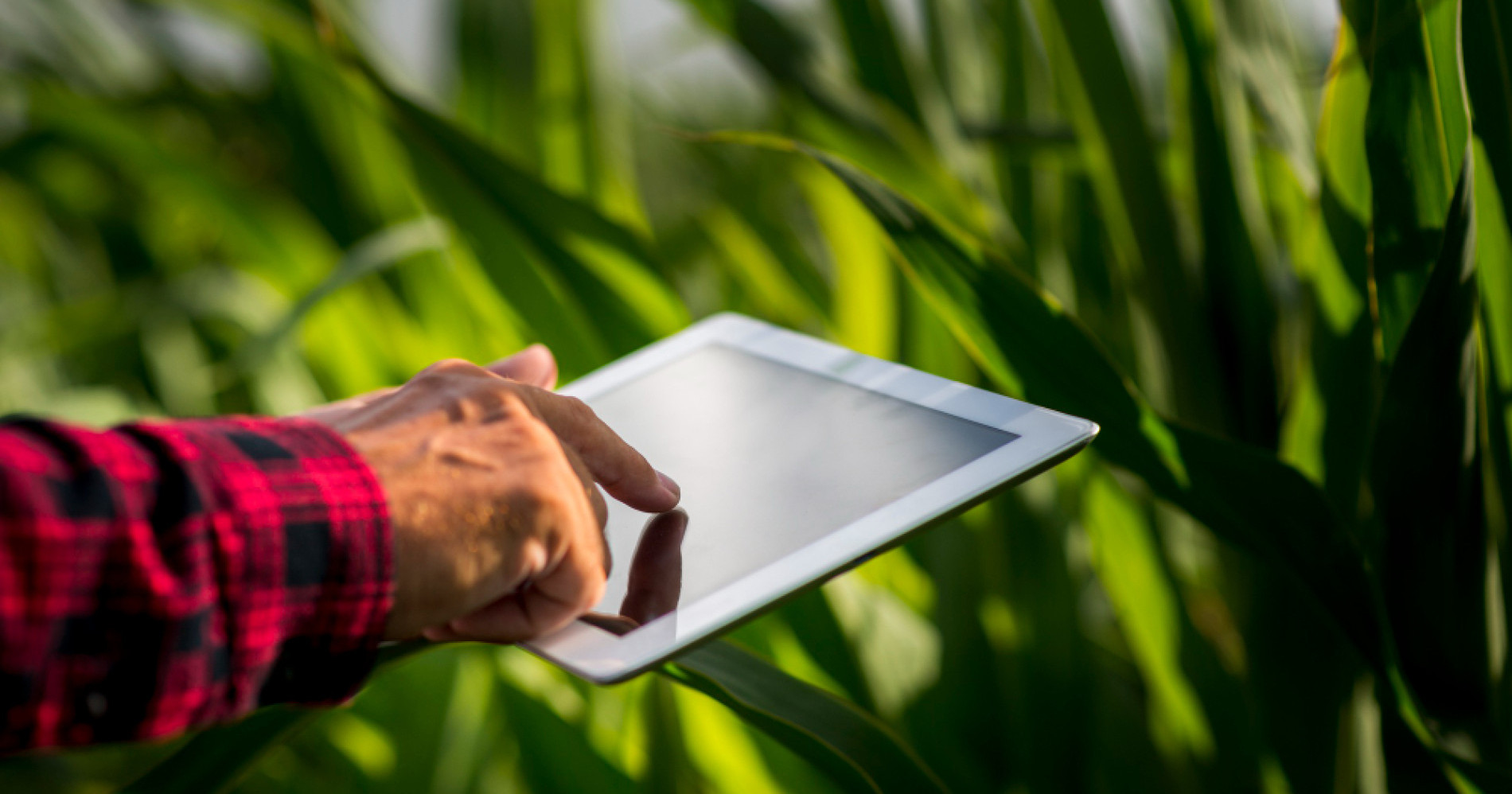 Penggunaan Tablet dalam Menunjang Literasi Teknologi Digital Pada Sektor Pertanian (Sumber Gambar: freepik.com)