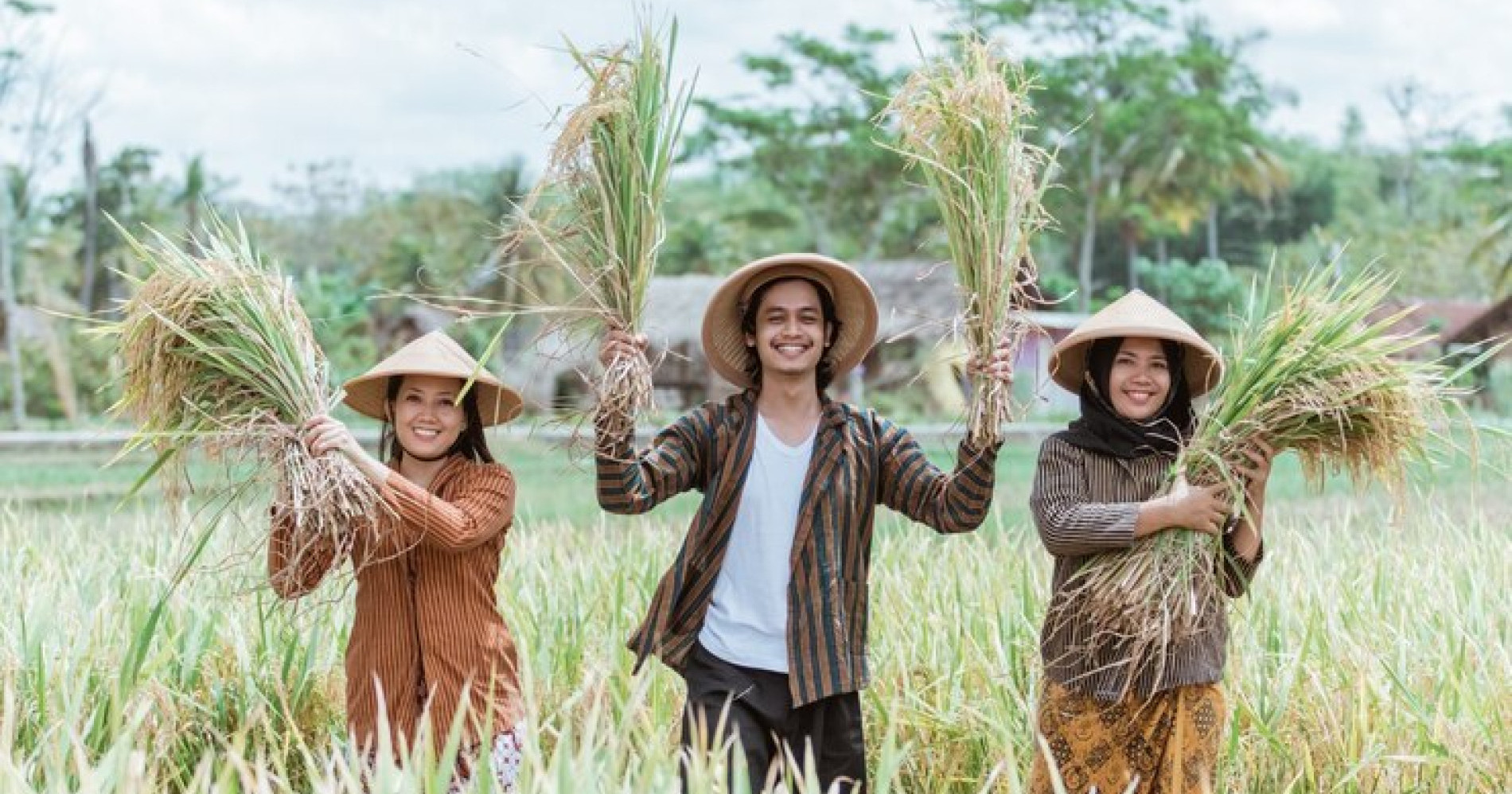 Kolaborasi Desa, Solusi Pangan Masa Depan (Sumber gambar: Freepik) Kolaborasi Desa, Solusi Pangan Masa Depan (Sumber gambar: Freepik)