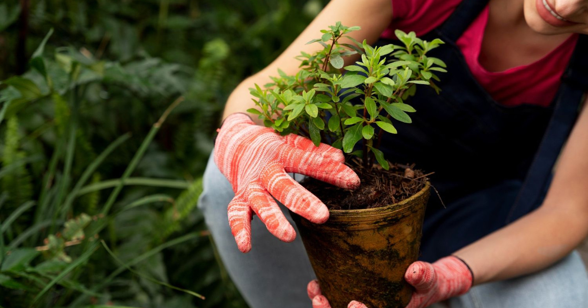Berkebun dengan pupuk organik (sumber: freepik.com) Berkebun dengan pupuk organik (sumber: freepik.com)