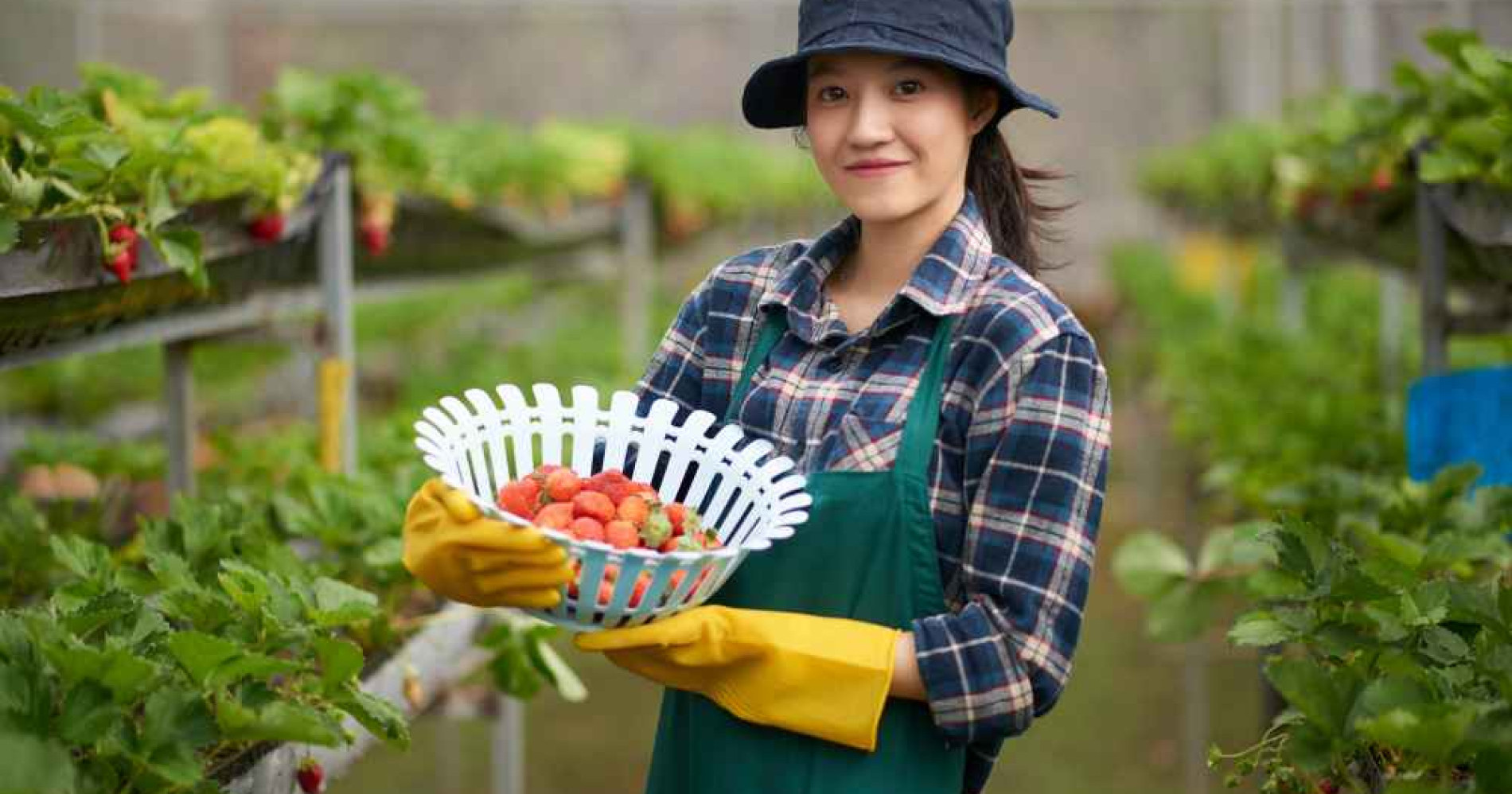 5 profesi pertanian ini punya prospek yang menjanjikan, tertarik coba? (Foto Freepik.com) 5 profesi pertanian ini punya prospek yang menjanjikan, tertarik coba? (Foto Freepik.com)