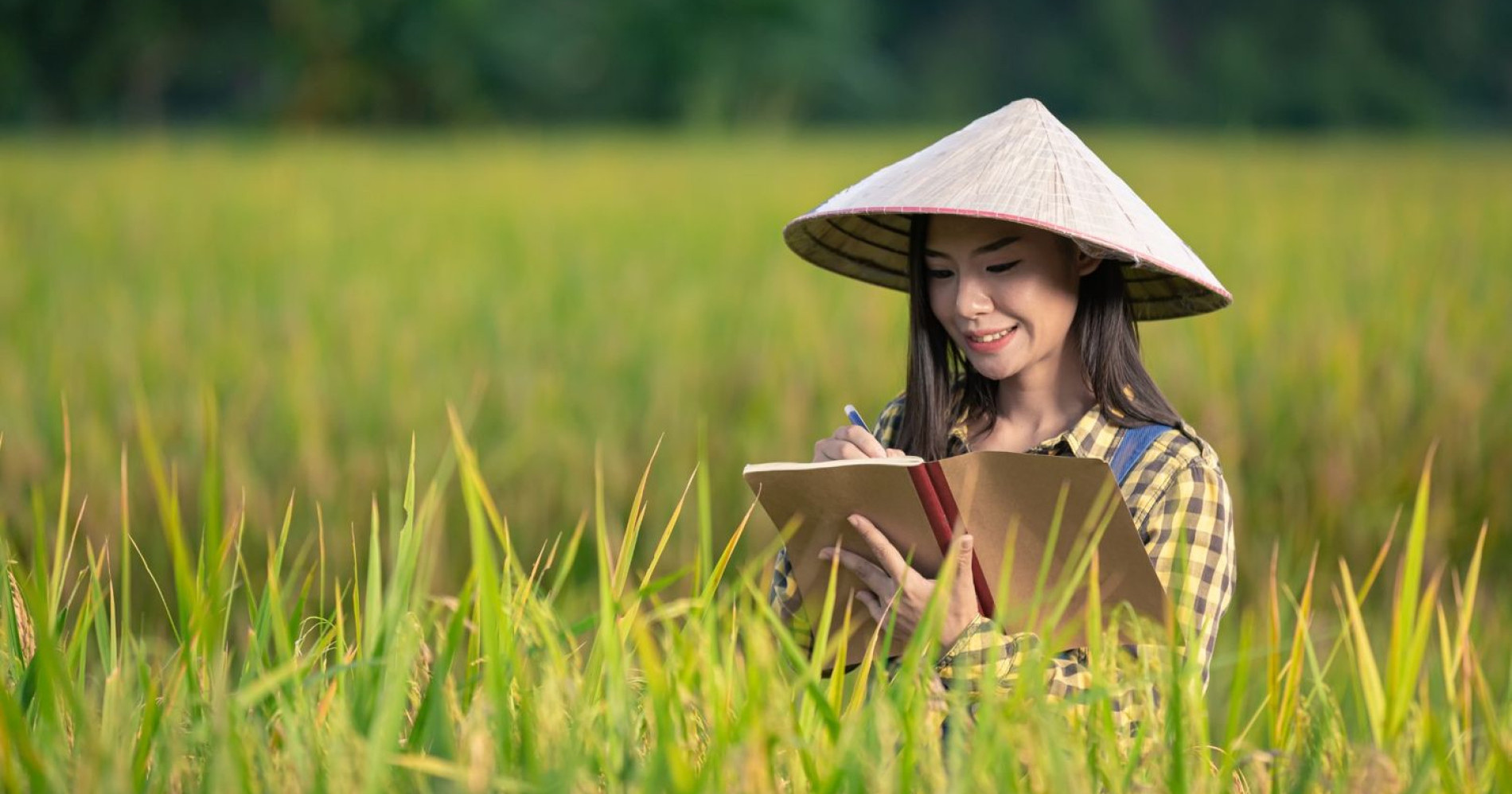 Memperhatikan usia tanaman adalah tahapan utama dalam pemupukan (Sumber:freepik.com)